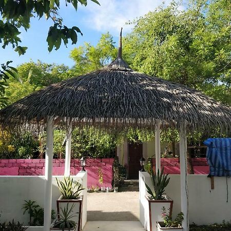 Alkina Lodge Fulidhoo Εξωτερικό φωτογραφία